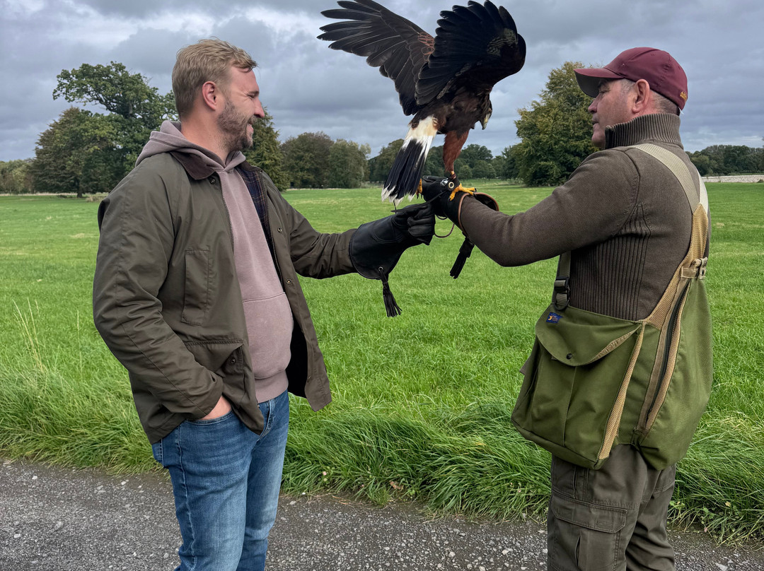 Dublin Falconry-Castleknock必去景点