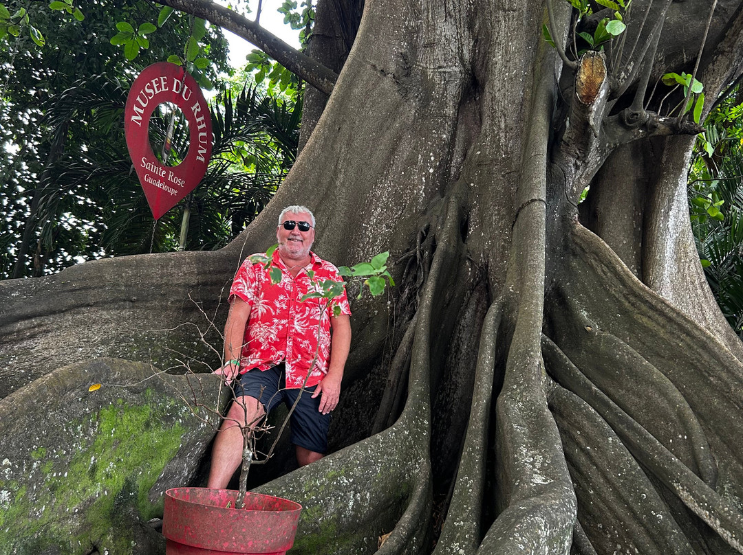 Musee du Rhum-Sainte Rose必去景点