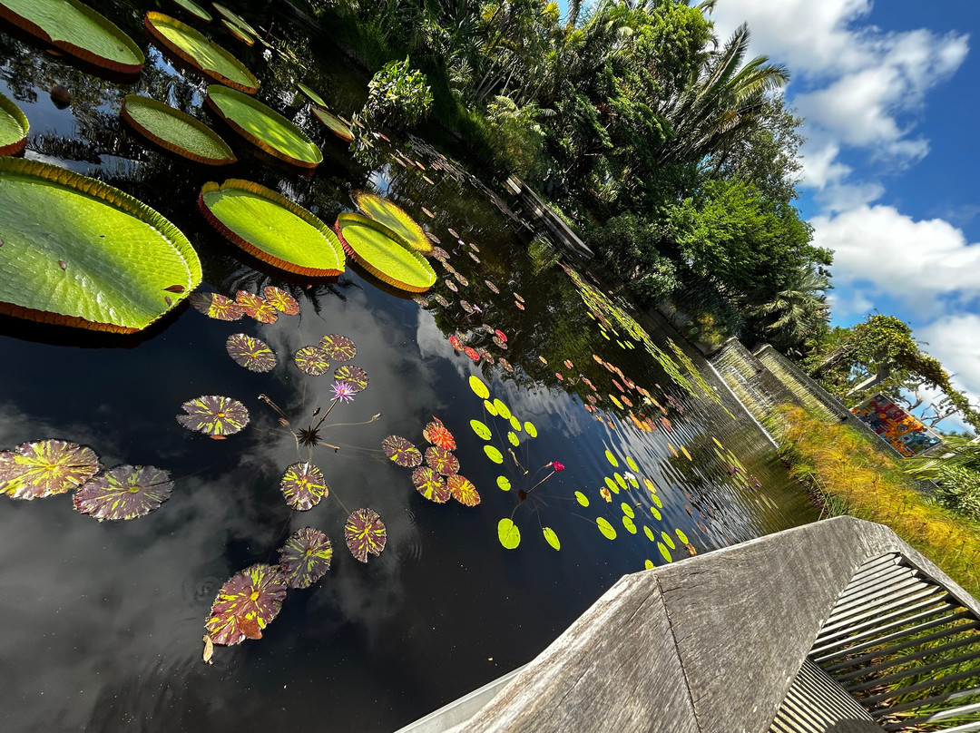 Naples Botanical Garden-那不勒斯必去景点