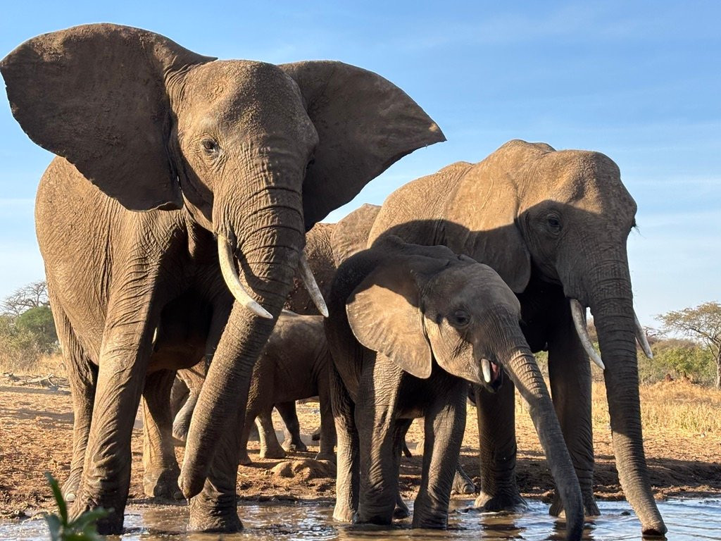 Unlimited Expeditions - The Soul Of Tanzania-阿鲁沙必去景点