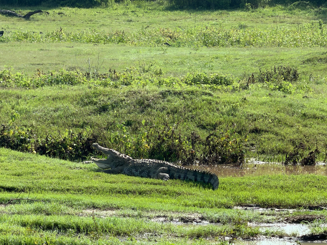 Udawalawe Lahiru Safari Guide Tours-乌达瓦拉维国家公园必去景点