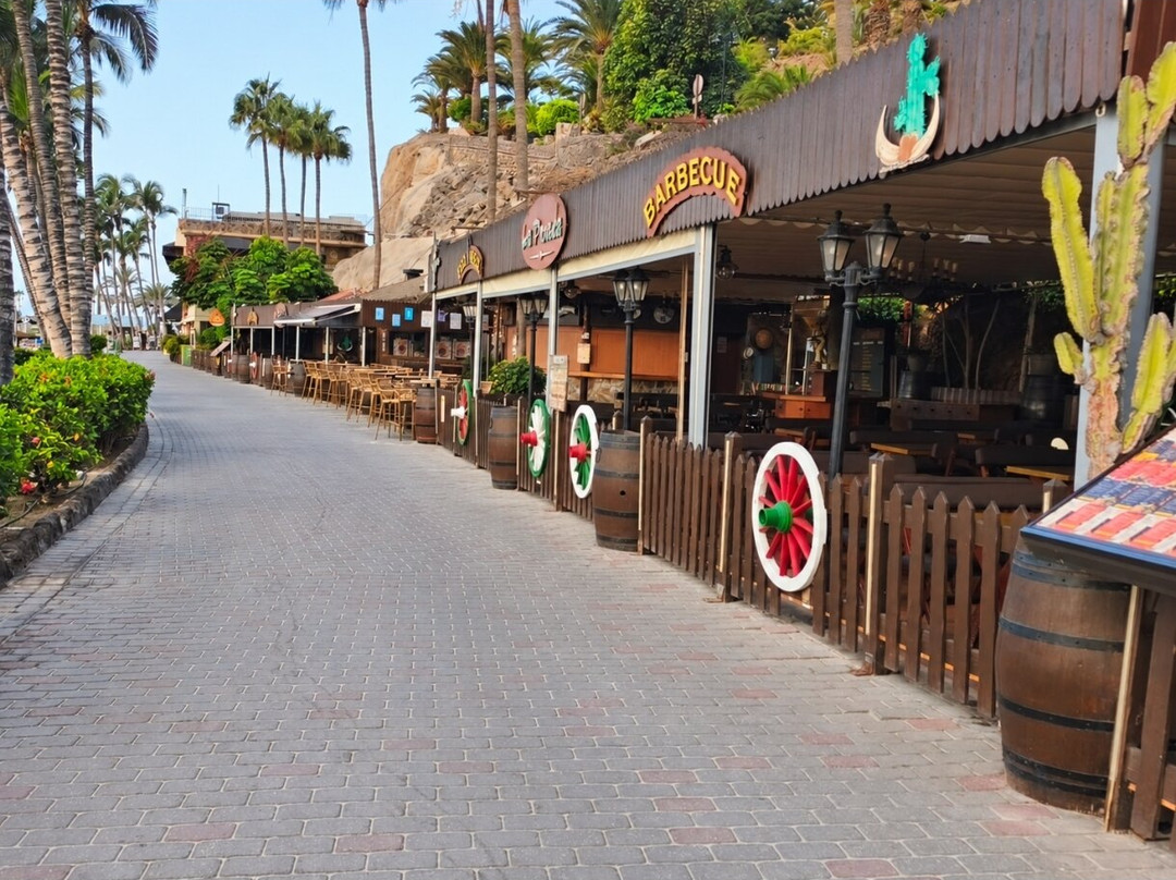 Playa Anfi del Mar-Barranco de la Verga必去景点