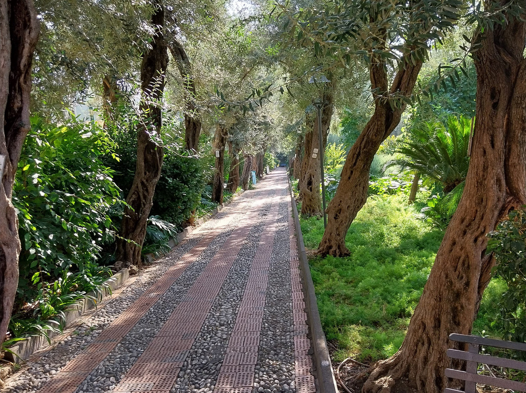 Public Gardens (Parco Duca di Cesar)-西西里必去景点