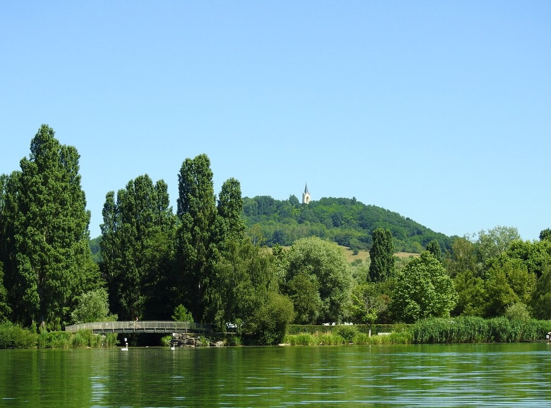 Lac de Vesoul-Vaivre景点图片