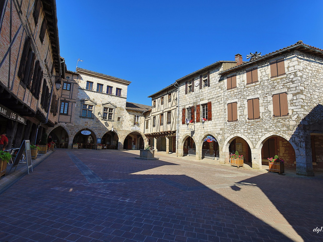 Castelnau-de-Montmiral酒店住宿-康索尔酒店
