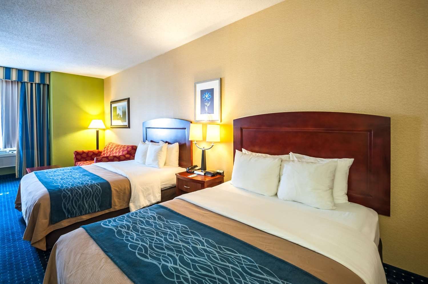 Comfort Inn & Suites-官方