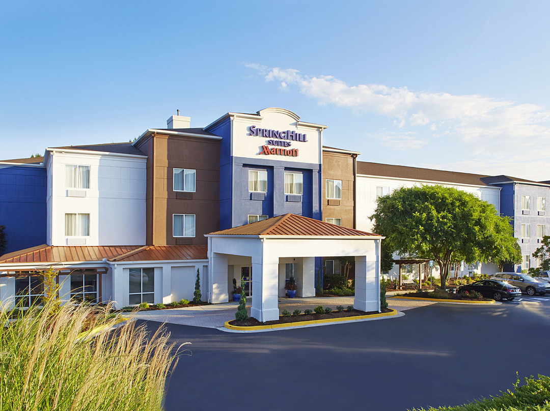 SpringHill Suites by Marriott Atlanta Six Flags主图