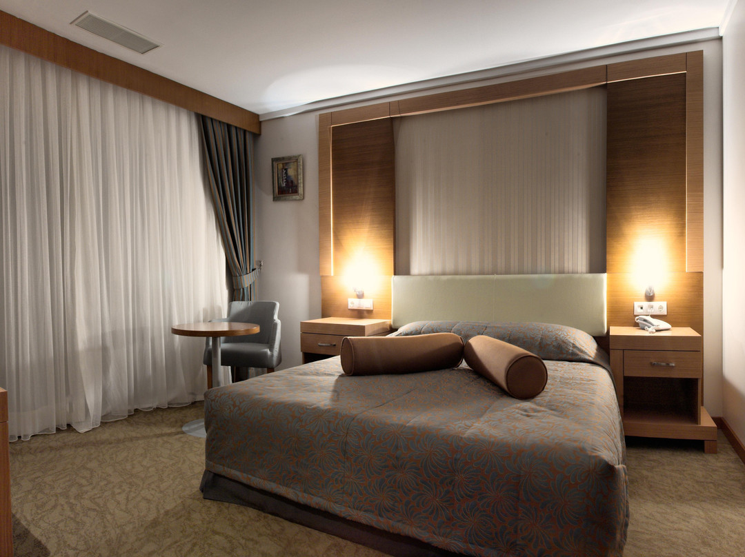 Zonguldak酒店住宿-Buyuk Anadolu Eregli Hotel