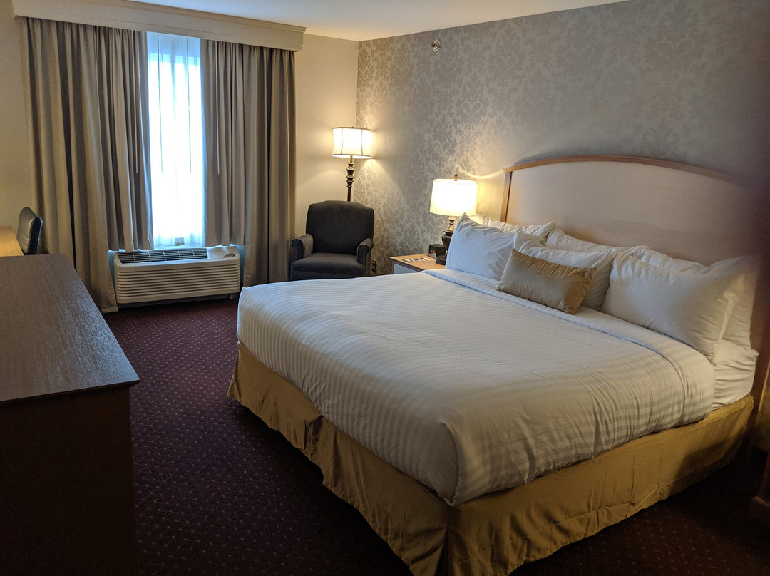 Warren酒店住宿-Holiday Inn Express & Suites Swansea