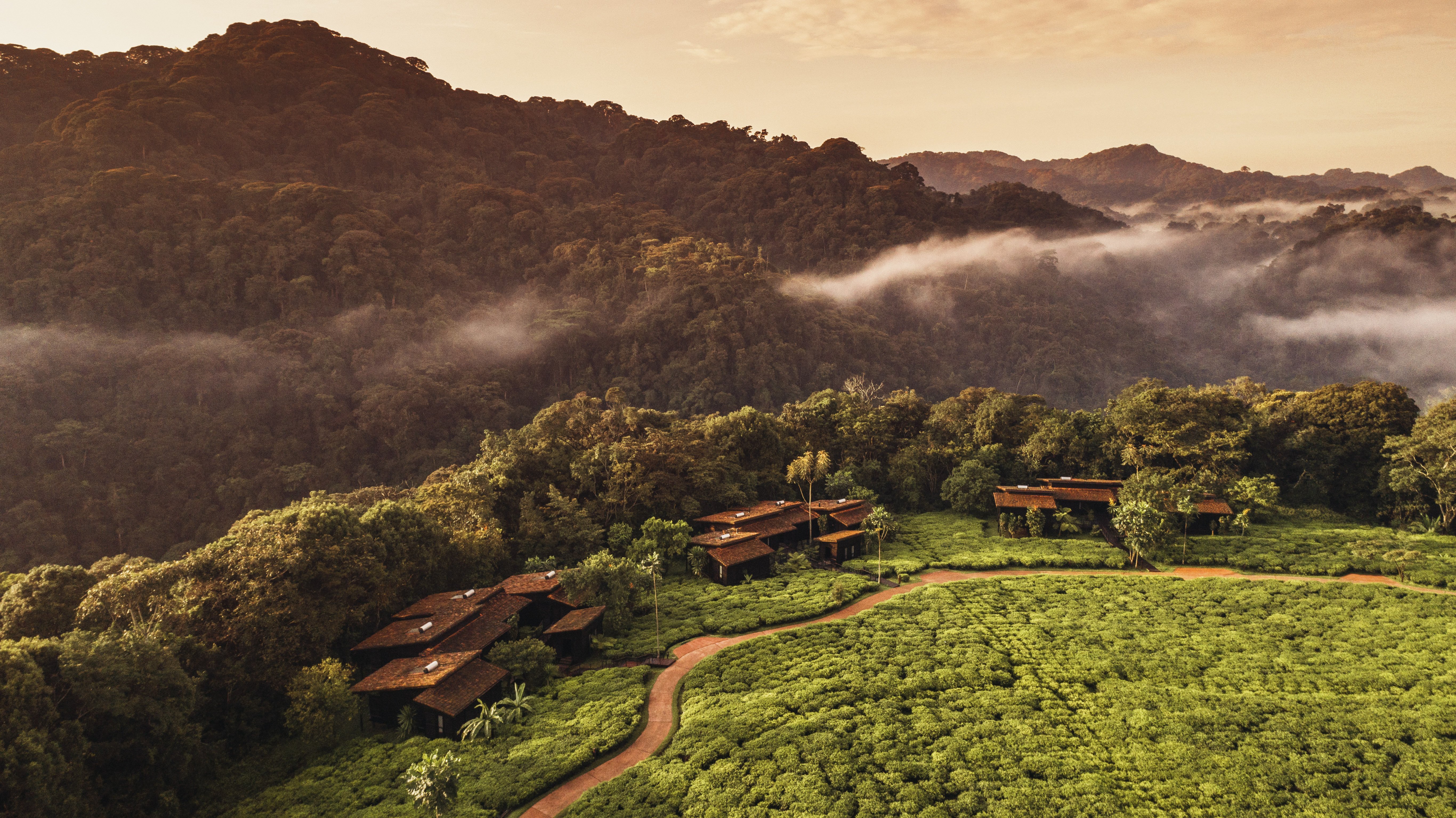 One & Only Nyungwe House-官方