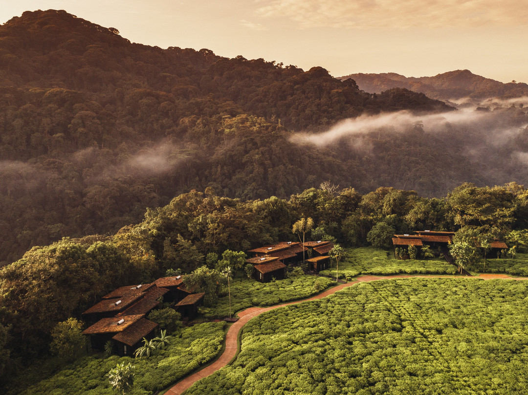 One & Only Nyungwe House主图