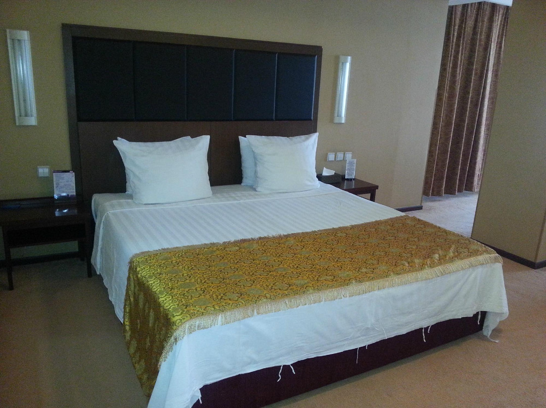 布拉戈维申斯克酒店住宿-Hotel Asia