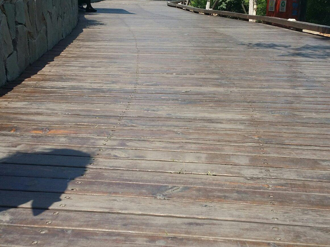 龙湾海滨-葫芦岛市必去景点