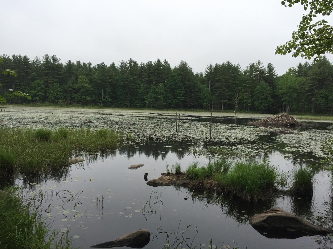 Beaver Brook Reservation景点图片