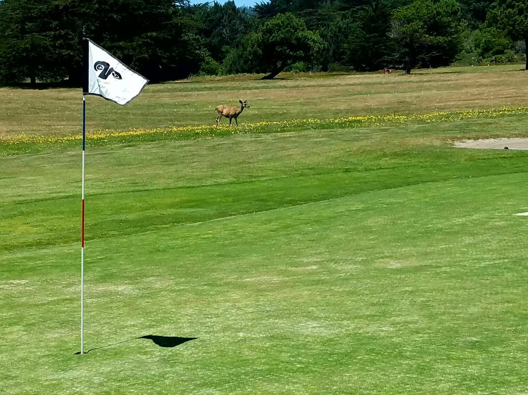 Sea Ranch Golf Course景点图片