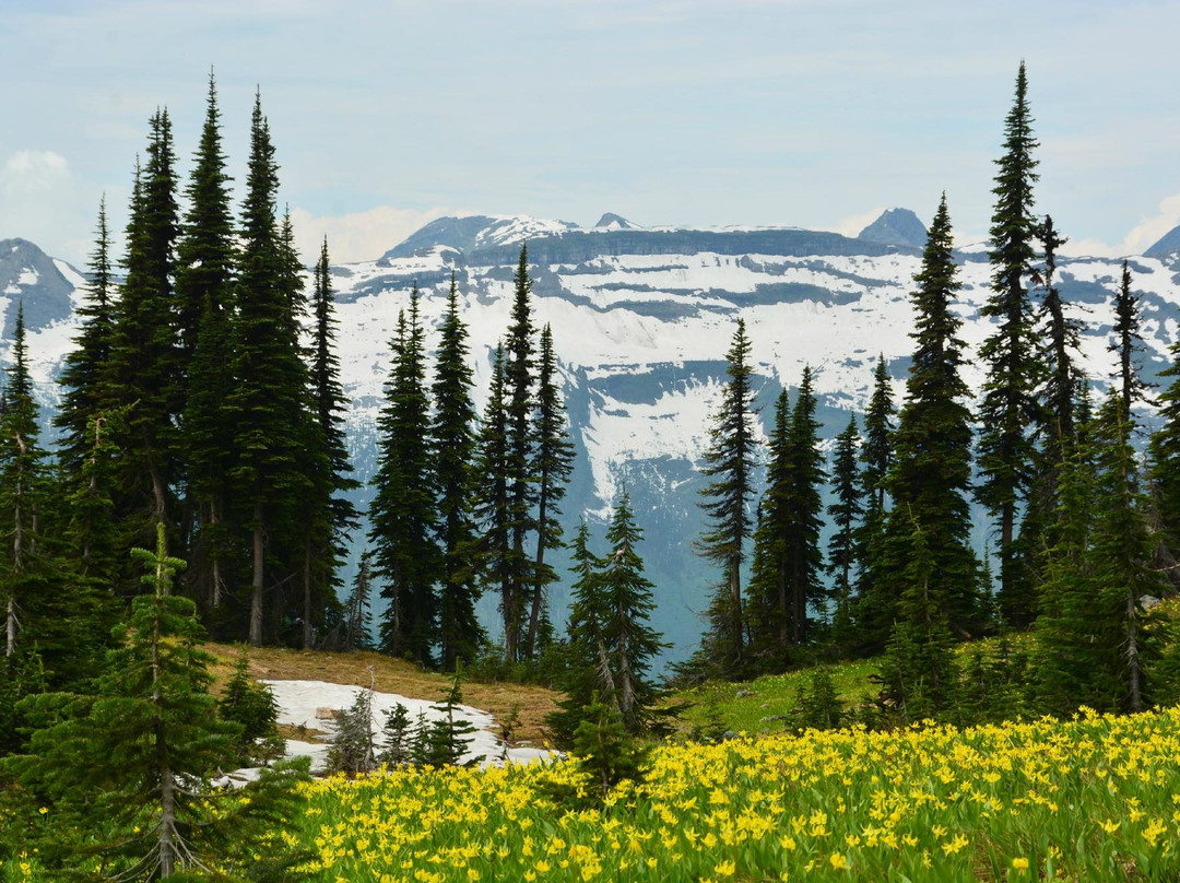 Granite Park Trail景点图片