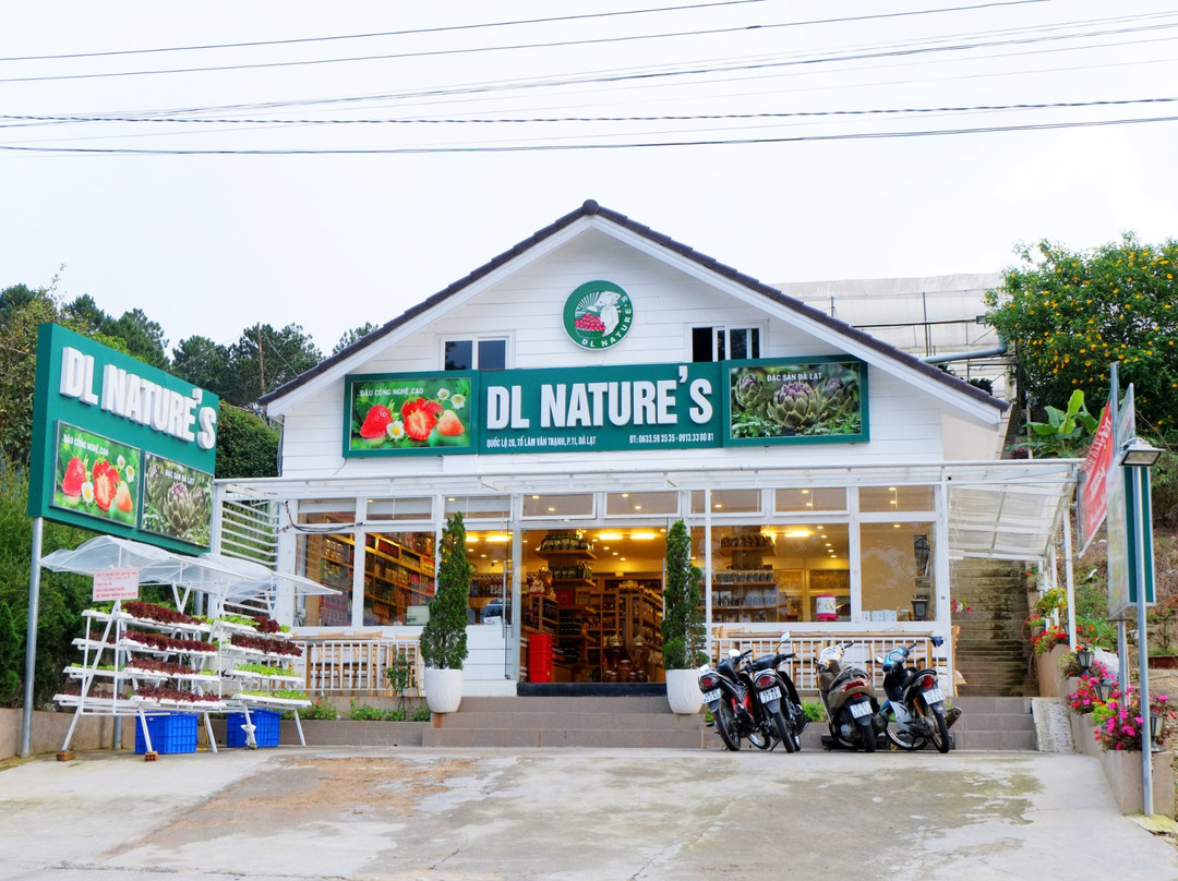 Tan Son旅游景点-DL Nature's