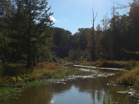 Lovejoy旅游景点-Newman Wetlands Center