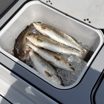 Rock On Charters-斩魔山必去景点