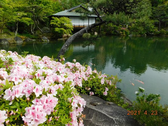 Sorakuen Garden景点图片