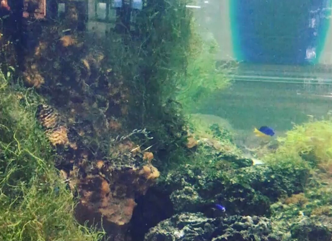 Mall Rubin-特维尔必去景点