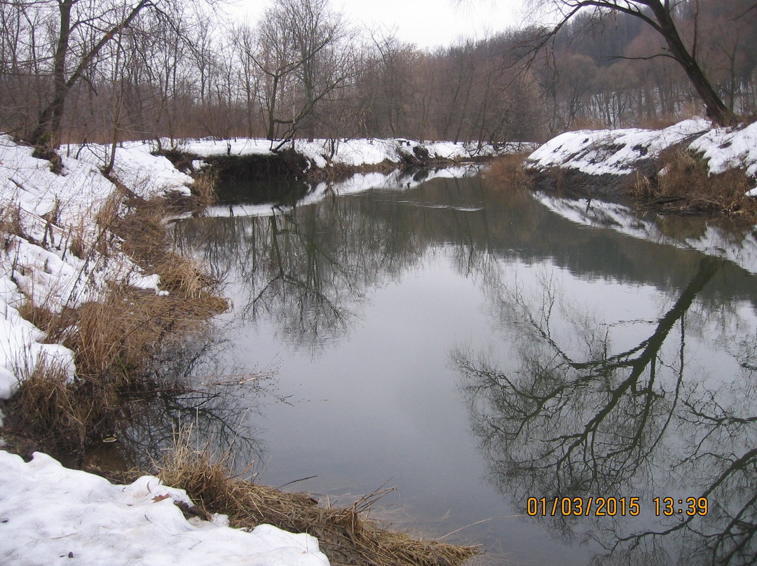 Park Valley of River Skhodnya景点图片