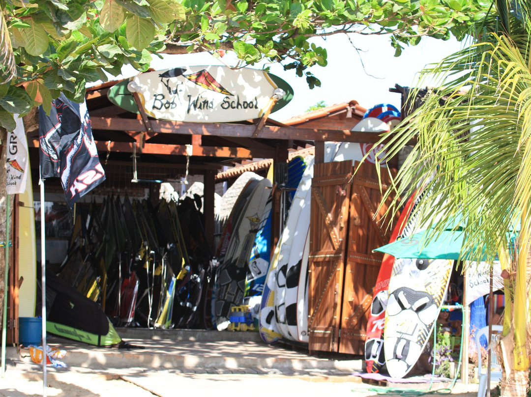 Bob Wind School-杰里科科拉必去景点