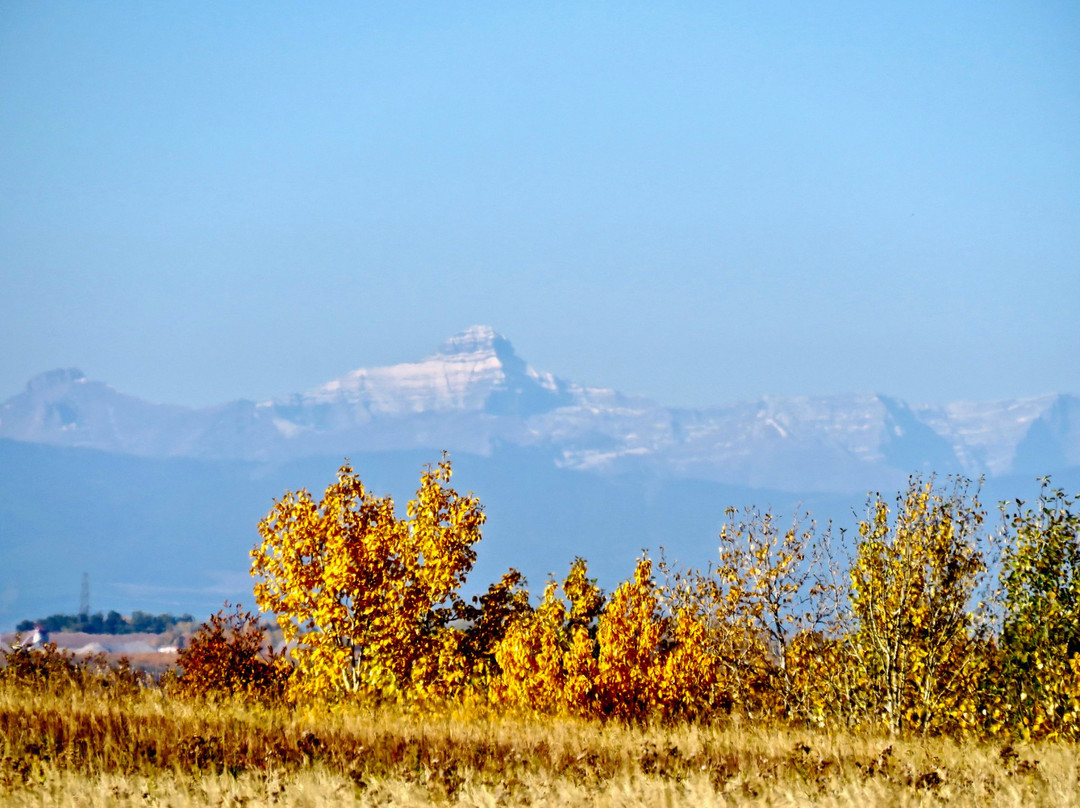 Nose Hill Park景点图片