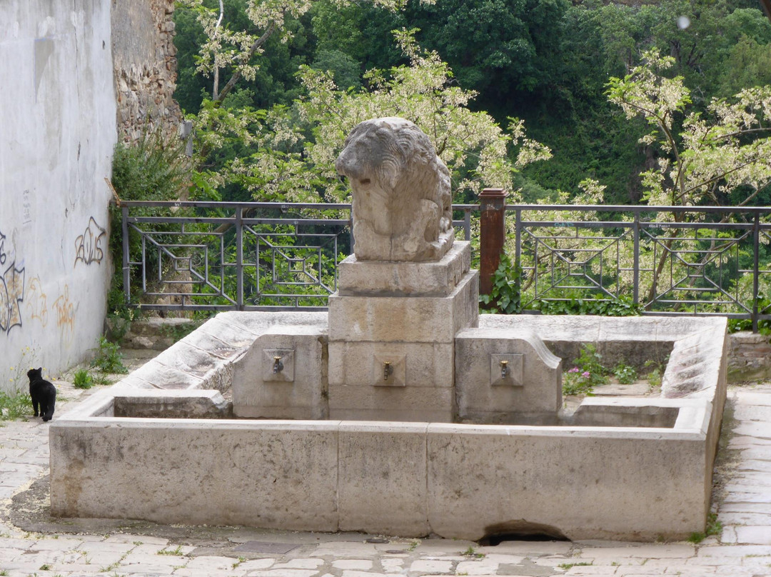 Fontana Di Messer Oto景点图片