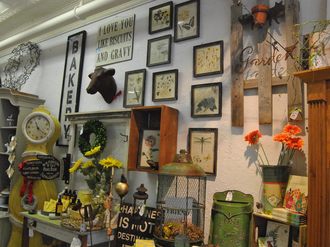 Cozy Nest-Mount Dora必去景点