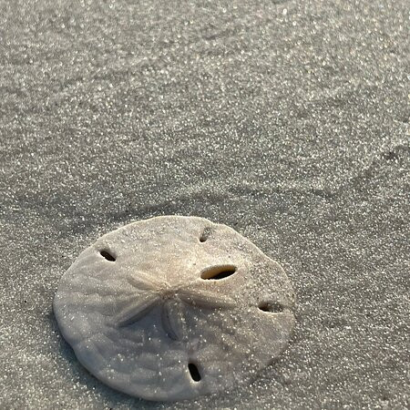 Lighthouse Inn主图