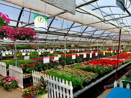All Seasons Garden Center景点图片