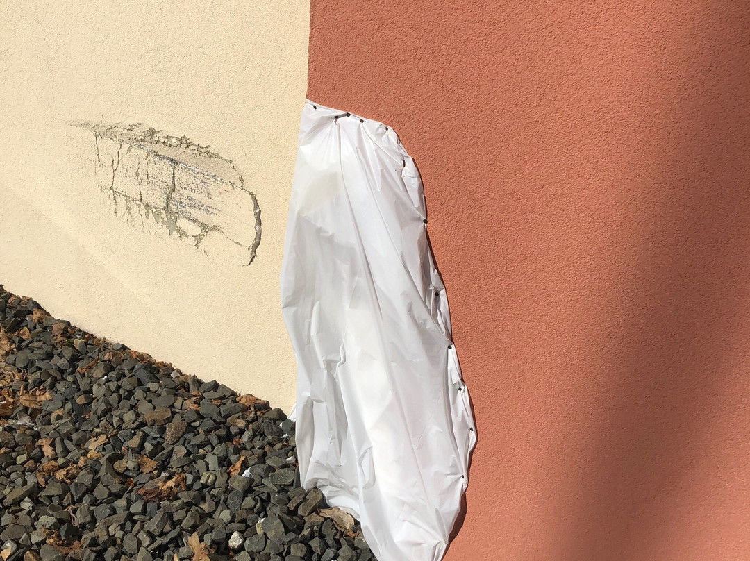 Super 8 by Wyndham Danbury