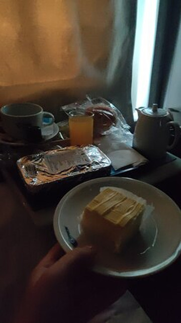 Strizh Train-莫斯科必去景点