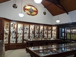 Burke Museum-比奇沃思必去景点