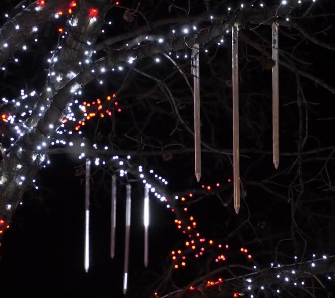 City Hall Park-红鹿市必去景点