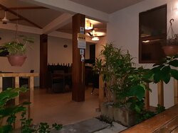 马尔代夫热带树木酒店主图