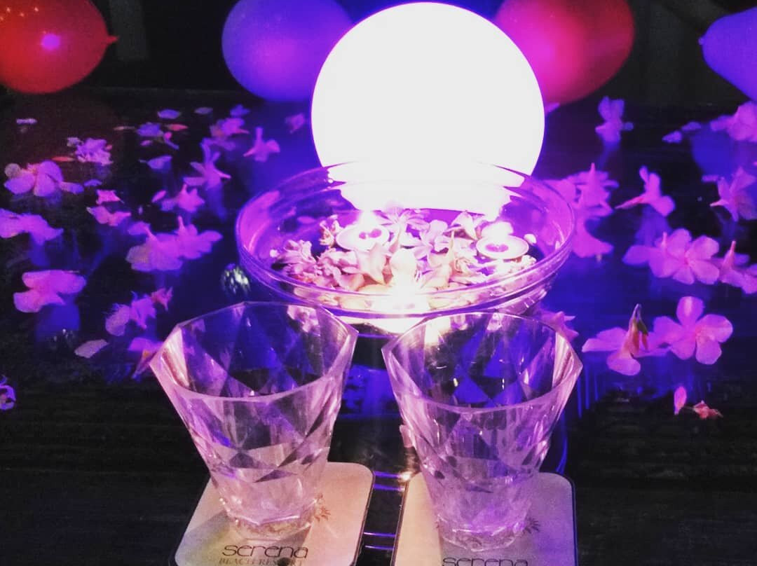 Serena Beach Resort主图