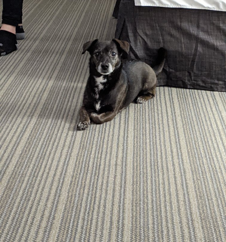 Country Inn & Suites by Radisson, Coralville, IA主图