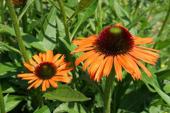 Sauerlandpark Hemer-Hemer必去景点