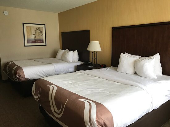 Quality Inn-客卧