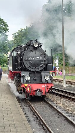 Kuehlungsborn-West Molli Railway Station景点图片
