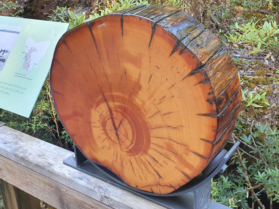 Heritage Landing-斯特拉恩必去景点