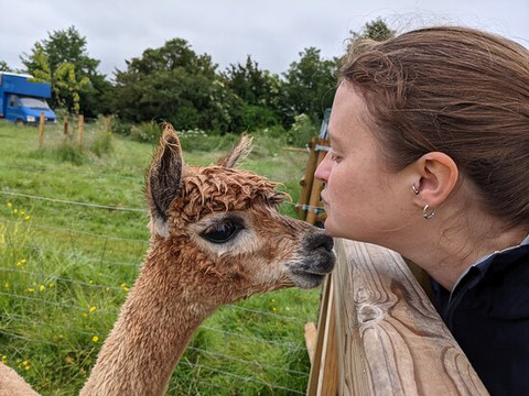 Pickney Farm Alpacas-汤顿必去景点