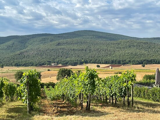 Il Colombaio Winery and Rooms主图