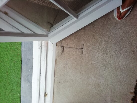 Cedar House Boutique B&B主图