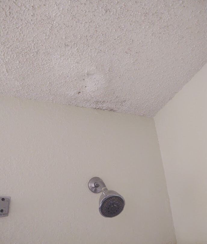 Super 8 by Wyndham Augusta主图