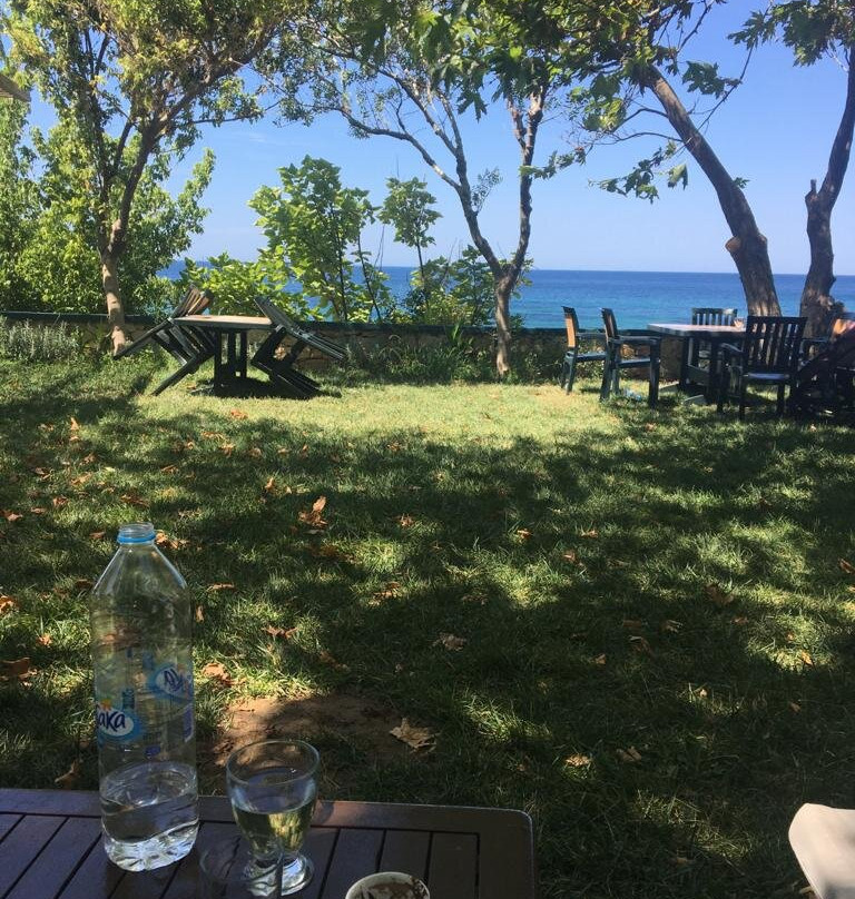 Troas Beach Hotel主图