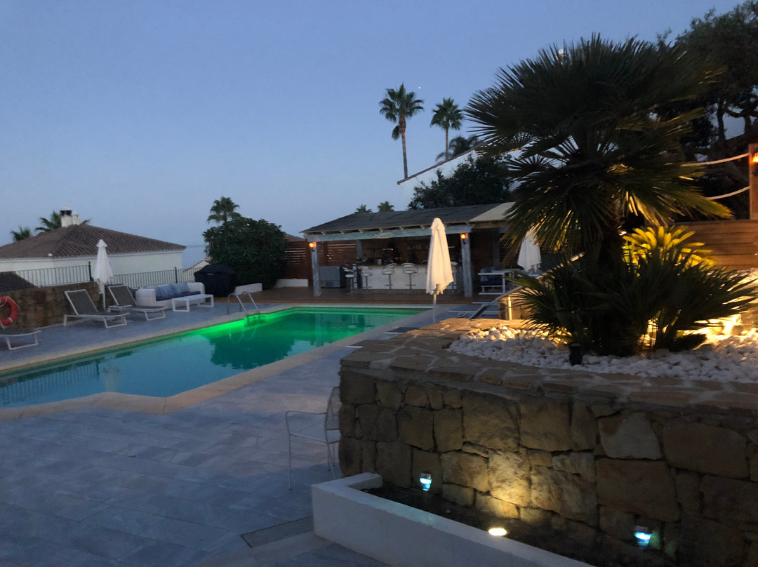 Three Palms