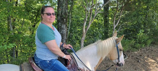 Five Oaks Riding Stables-塞维尔维尔必去景点